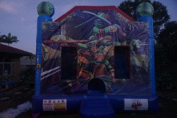 Ninja Turtles Banner Jumping Castle c4 combo