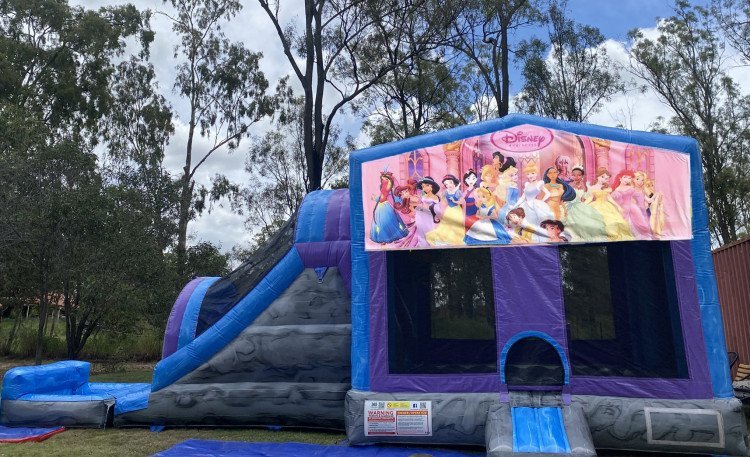 Princess Jumping Castle with Waterslide