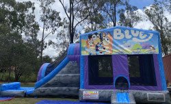 Bluey Jumping Castle with External Dry Slide