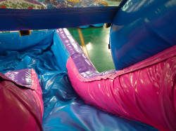 a8225541 05e6 4b73 9625 4fcc5915f5ac 1733484069 3D Princess Castle Jumping Castle with External Dry Slide