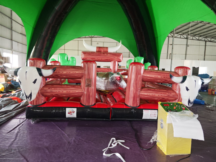 Mechanical Bucking Bull #2